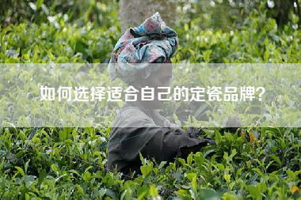 如何选择适合自己的定瓷品牌？