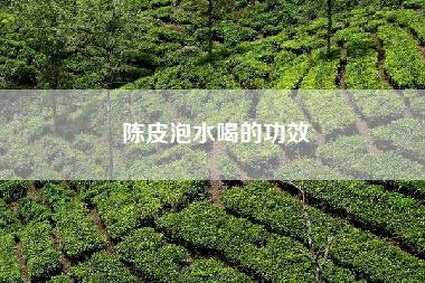 陈皮泡水喝的功效