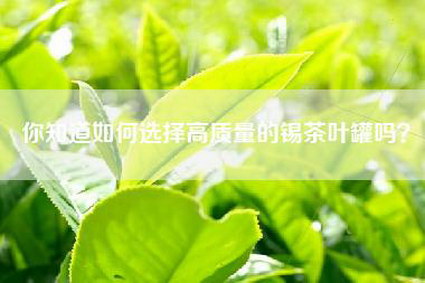 你知道如何选择高质量的锡茶叶罐吗？
