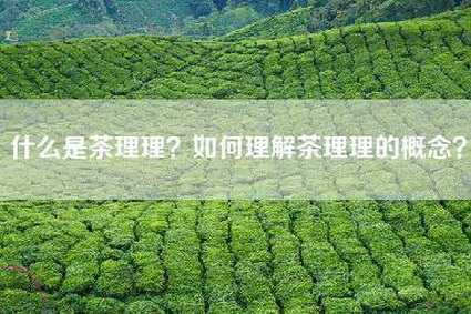 什么是茶理理？如何理解茶理理的概念？