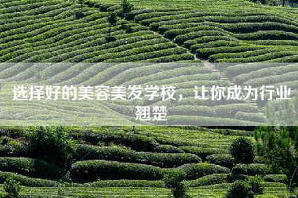 选择好的美容美发学校，让你成为行业翘楚