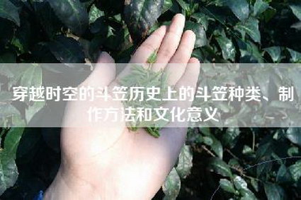 穿越时空的斗笠历史上的斗笠种类、制作方法和文化意义