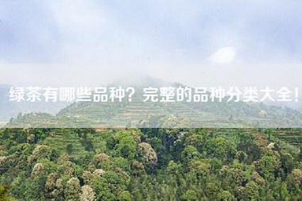 绿茶有哪些品种？完整的品种分类大全！