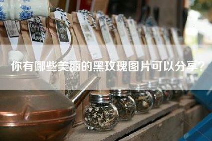 你有哪些美丽的黑玫瑰图片可以分享？
