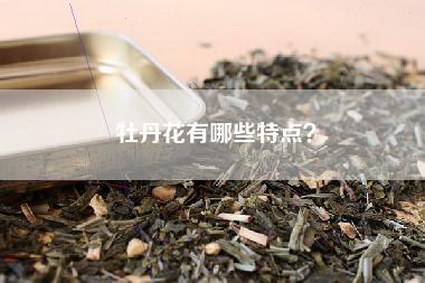 牡丹花有哪些特点？