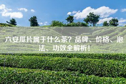 六安瓜片属于什么茶？品牌、价格、泡法、功效全解析！