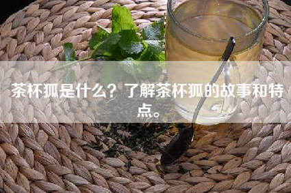茶杯狐是什么？了解茶杯狐的故事和特点。