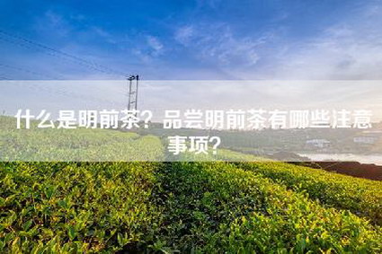 什么是明前茶？品尝明前茶有哪些注意事项？