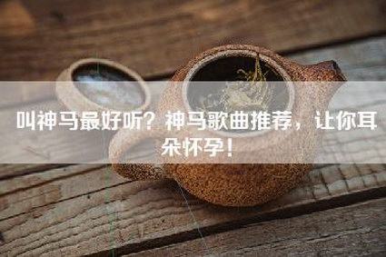 叫神马最好听？神马歌曲推荐，让你耳朵怀孕！