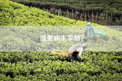 谁是病牛李纲？