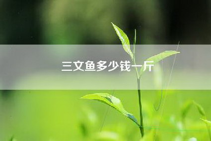 三文鱼多少钱一斤