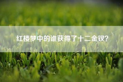 红楼梦中的谁获得了十二金钗？