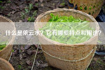 什么是依云水？它有哪些特点和用途？