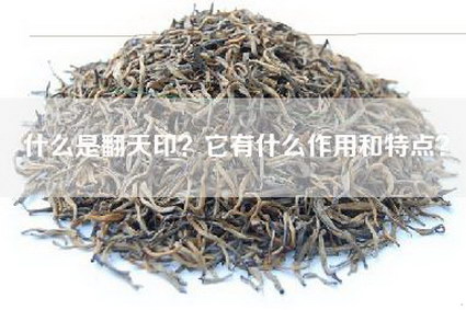 什么是翻天印？它有什么作用和特点？