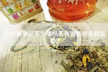什么是单丛茶？单丛茶有哪些特点和品种？