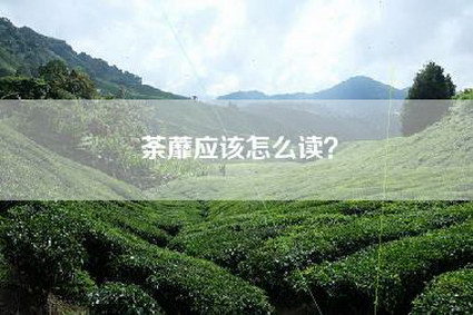 荼蘼应该怎么读？