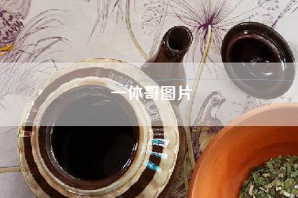 一休哥图片