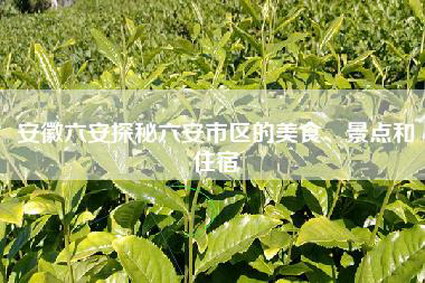 安徽六安探秘六安市区的美食、景点和住宿