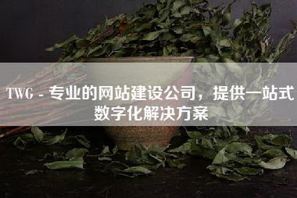 TWG - 专业的网站建设公司，提供一站式数字化解决方案