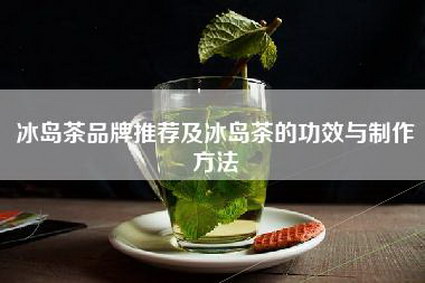 冰岛茶品牌推荐及冰岛茶的功效与制作方法