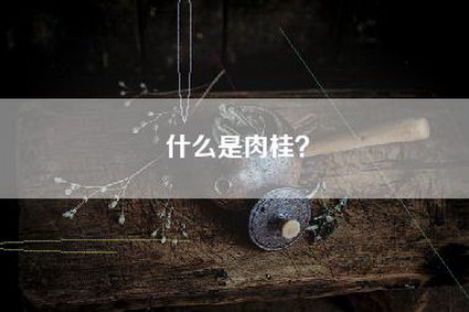 什么是肉桂？