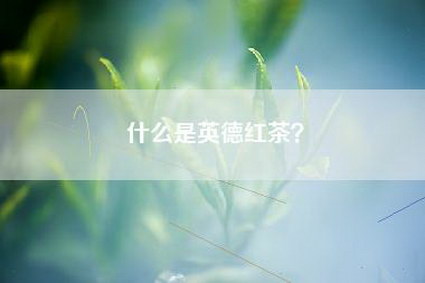 什么是英德红茶？