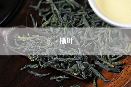 榆叶