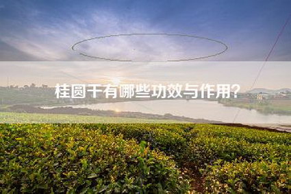 桂圆干有哪些功效与作用？