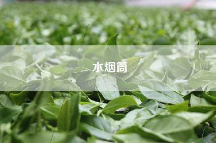 水烟筒