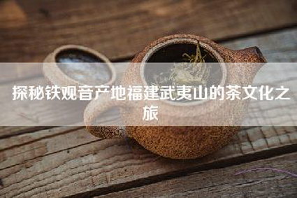 探秘铁观音产地福建武夷山的茶文化之旅