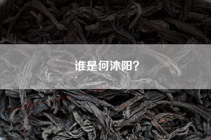 谁是何沐阳？