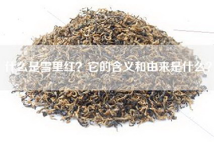 什么是雪里红？它的含义和由来是什么？