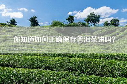你知道如何正确保存普洱茶饼吗？
