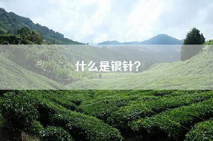 什么是银针？