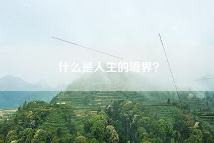 什么是人生的境界？