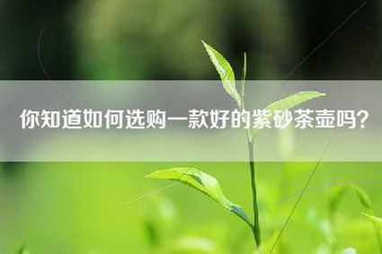 你知道如何选购一款好的紫砂茶壶吗？