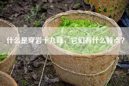 什么是穿岩十九峰，它们有什么特点？