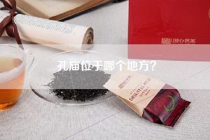孔庙位于哪个地方？