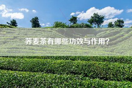 荞麦茶有哪些功效与作用？