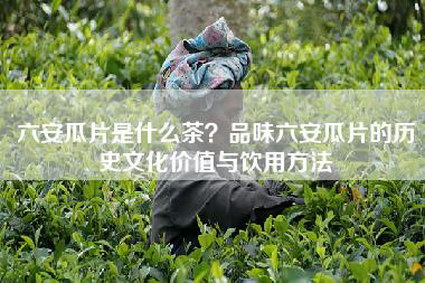 六安瓜片是什么茶？品味六安瓜片的历史文化价值与饮用方法