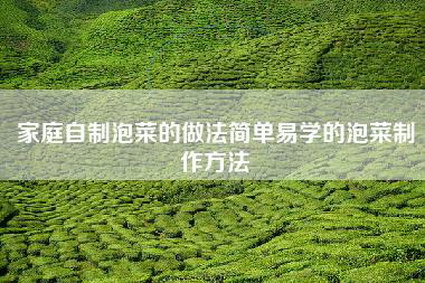 家庭自制泡菜的做法简单易学的泡菜制作方法