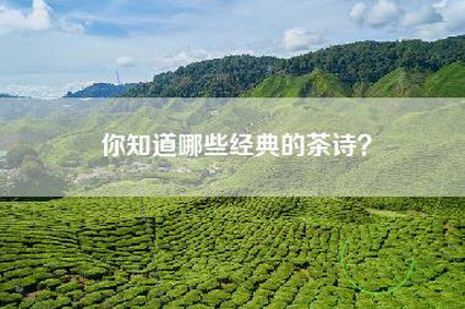 你知道哪些经典的茶诗？