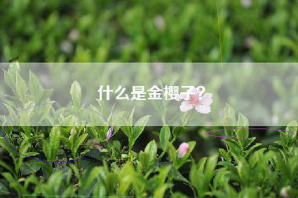 什么是金樱子？