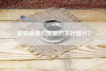 你知道哪些美丽的茶叶图片？