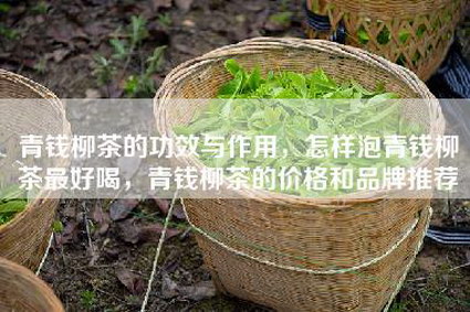 青钱柳茶的功效与作用，怎样泡青钱柳茶最好喝，青钱柳茶的价格和品牌推荐