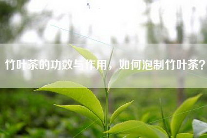 竹叶茶的功效与作用，如何泡制竹叶茶？