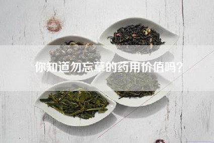 你知道勿忘草的药用价值吗？