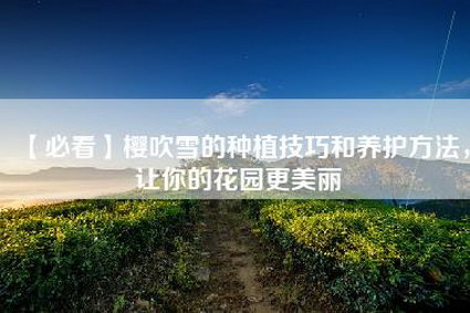 【必看】樱吹雪的种植技巧和养护方法，让你的花园更美丽