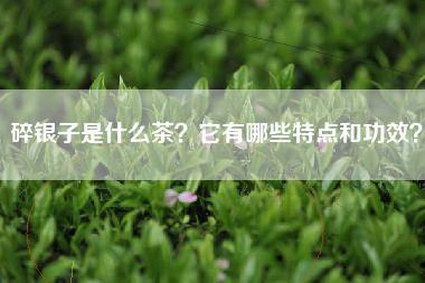 碎银子是什么茶？它有哪些特点和功效？