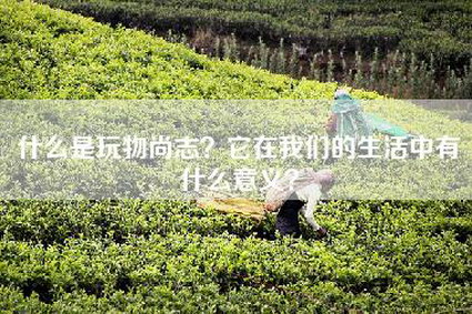 什么是玩物尚志？它在我们的生活中有什么意义？